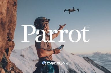 Parrot sensFly eBee X, Parrot ANAFI Work - DSLRPros Official Blog